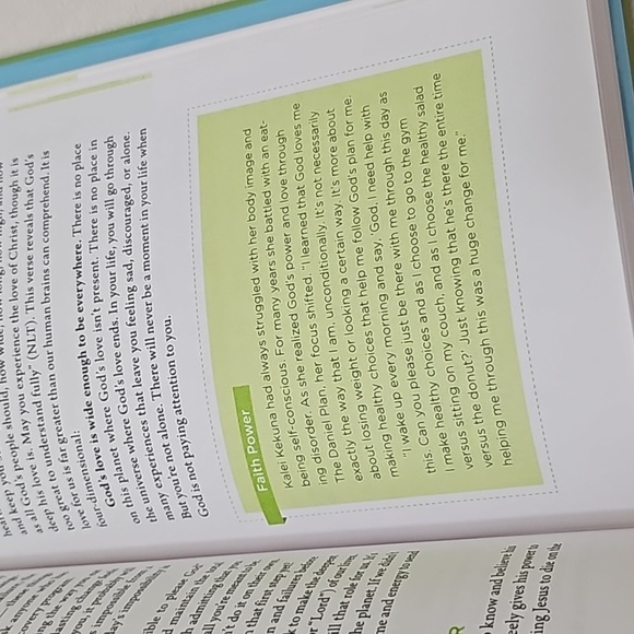 The Daniel Plan 40 Days to a Healthier Life Chapter Book. - Picture 14 of 16